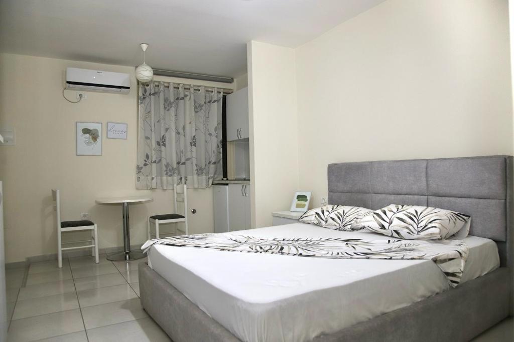 Apartament Sheshi Willson Great Studio *